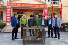 乂安省人民将珍稀的短尾猴交给职能部门。图自越通社