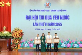 武氏映春向优秀个人授予三等劳动勋章。图自越通社