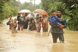 泰国那拉提瓦府遭遇强降雨后被洪水淹没。图自越通社