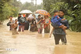 泰国那拉提瓦府遭遇强降雨后被洪水淹没。图自越通社
