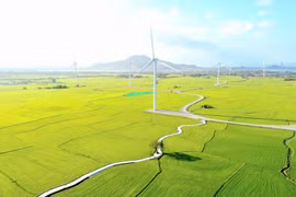 宁顺省风电场。图自越通社