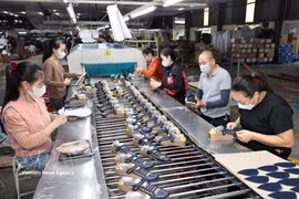 皮革制鞋是越南主要出口产品之一。图自越通社