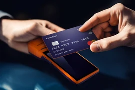 附图。图自越通社