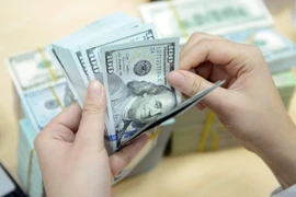 资料图。图自互联网