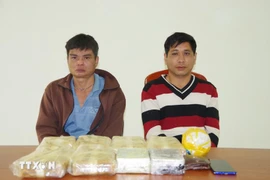 两名嫌疑人和赃物。图自越通社