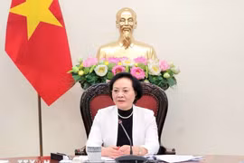 越南政府副总理范氏清茶主持会议。图自越通社