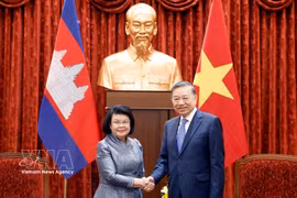 越共中央总书记、国家主席苏林会见柬埔寨国会主席昆索达莉。图自越通社