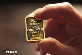 资料图。图自越通社