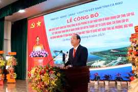 金瓯省委书记阮胡海发表讲话。图自《信息报》
