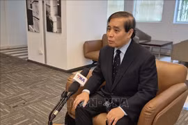 新加坡国立大学李光耀公共政策学院武明姜教授接受越通社记者采访。图自越通社