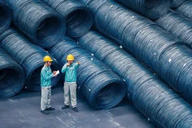 资料图。图自越通社