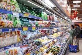 资料图。图自越通社