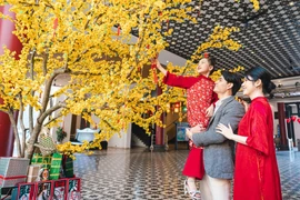 2026 岘港新年庆典打造城市年度最大文化娱乐盛宴。岘港市文化体育与旅游厅供图