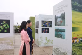 代表们参观“越南文化遗产——从传统到现代的生命力”专题展。图自越通社