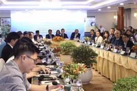 胡志明市—阿斯塔纳企业圆桌会议场景。图自越通社
