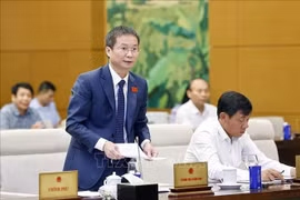 政府监察总署党委常委、副总监察长黎进达发表讲话。图自越通社