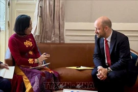 阮氏清副主席同法国参议院副议长洛伊克·埃尔韦举行会谈。图自越通社