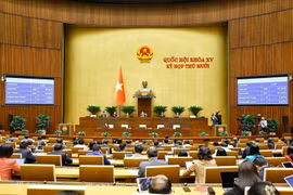 国会以高票通过了《规划法（修订）》。图自越通社