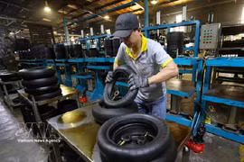 位于广治省老保国际口岸经济区泰国独资企业——越南CAMEL橡胶有限公司的摩托车轮胎产品生产活动。图自越通社