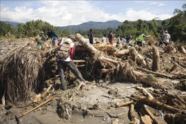 印尼西苏门答腊发生洪水和山体滑坡后，救援力量在现场搜寻遇难者。图自越通社