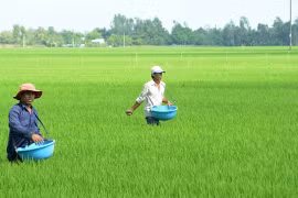 中东冲突对农业，特别是肥料供应产生巨大影响。图自互联网