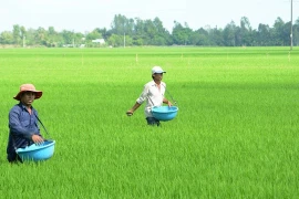 中东冲突对农业，特别是肥料供应产生巨大影响。图自互联网
