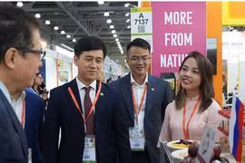 越南驻俄罗斯大使邓明魁参观越南企业的展位。图自越通社