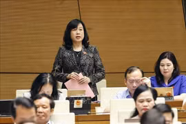 越南卫生部部长陶红兰在会上解答了国会代表提出关于诊疗、人民保健、假药和假保健品等方面的多项问题。图自越通社