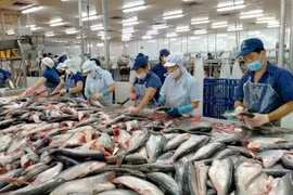 资料图。图自sggp.org.vn
