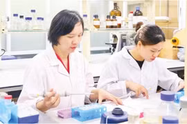 科研人员开展《研究制备纳米荭草苷作为保健食品原料用于辅助预防和治疗糖尿病》的科研项目。图自《人民报》