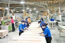 资料图。图自越通社