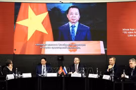越南政府副总理陈红河发表视频讲话。图自越通社