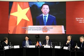 越南政府副总理陈红河发表视频讲话。图自越通社