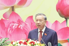 越共中央总书记苏林在会上发言。图自越通社