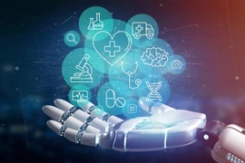 资料图。图自越通社