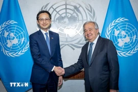 越南常驻联合国代表团团长杜雄越大使与联合国秘书长安东尼奥·古特雷斯。图自越通社