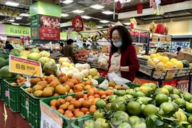 资料图。图自越通社