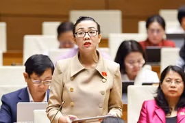 林同省代表郑氏秀英发表意见。图自越通社
