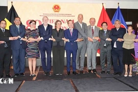 出席招待会的代表们合影。图自越通社