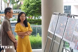展览参观者。图自越通社
