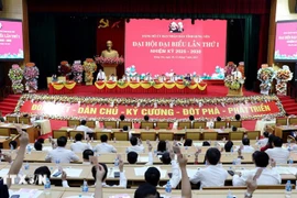 越南共产党兴安省人民委员会第一次代表大会（2025-2030年任期）。图自越通社