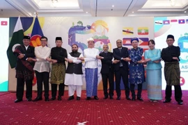 东盟大使与巴基斯坦领导合影。大使馆供图