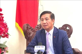 越南驻马来西亚大使丁玉玲。图自越通社