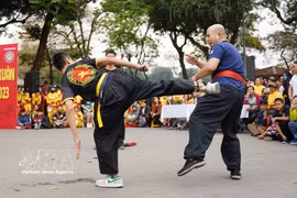 首都河内武术俱乐部的表演节目。图自越通社