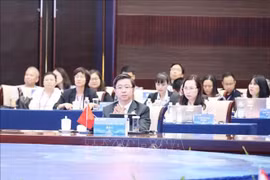 越南科学技术部副部长裴黄方出席会议。图自越通社