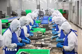 资料图。图自越通社