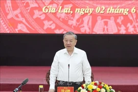 越共中央总书记苏林发表讲话。图自越通社