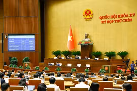 国会投票通过关于国家选举委员会成员数量及成立国家选举委员会的决议。图自越通社