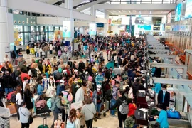 乘客在内排国际航空港办理登机手续。图自Vietnam+