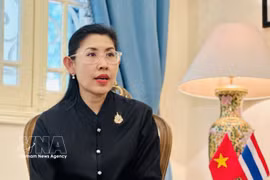 泰国驻越大使乌拉萨蒂·斯里菲罗玛亚。图自越通社